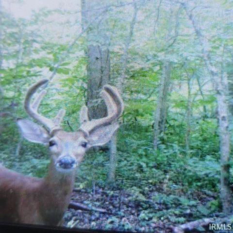 18400 County Road 42, Goshen, IN 46526