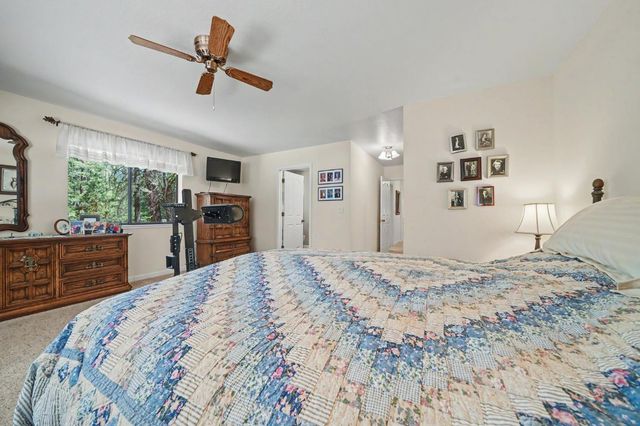 19775 Forest View Cir, Pioneer, CA 95666