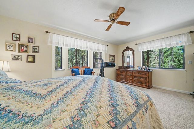 19775 Forest View Cir, Pioneer, CA 95666