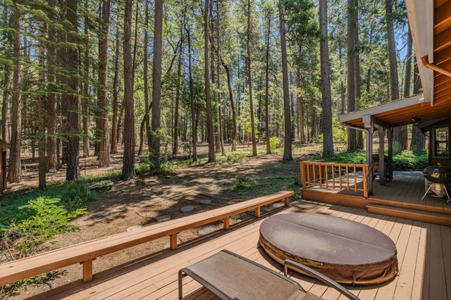 19775 Forest View Cir, Pioneer, CA 95666