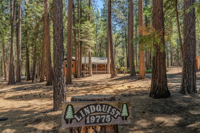 19775 Forest View Cir, Pioneer, CA 95666