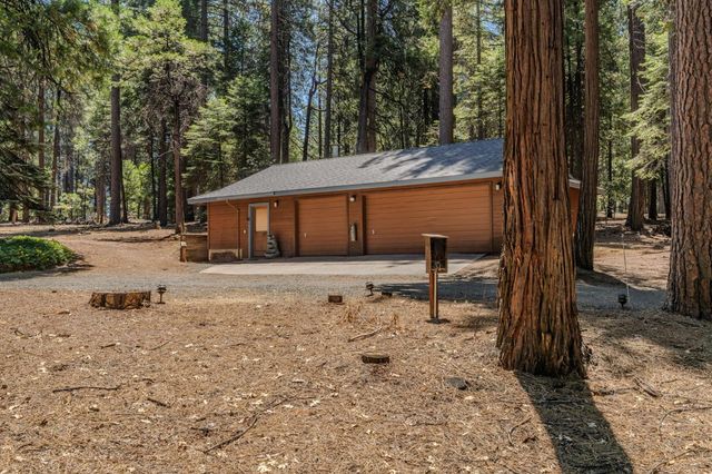 19775 Forest View Cir, Pioneer, CA 95666