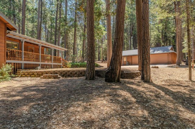 19775 Forest View Cir, Pioneer, CA 95666
