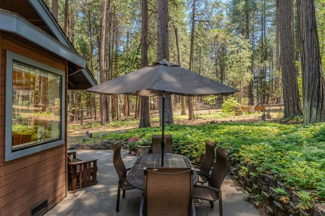 19775 Forest View Cir, Pioneer, CA 95666