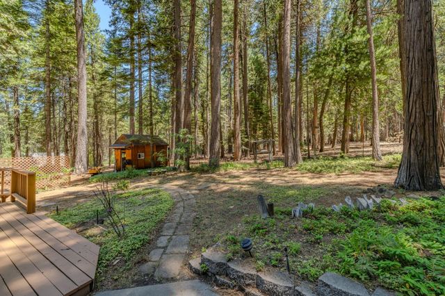 19775 Forest View Cir, Pioneer, CA 95666