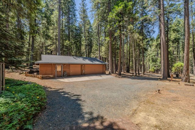 19775 Forest View Cir, Pioneer, CA 95666