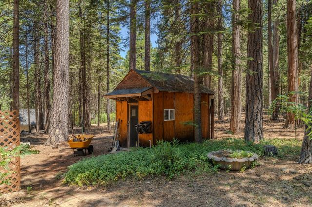 19775 Forest View Cir, Pioneer, CA 95666