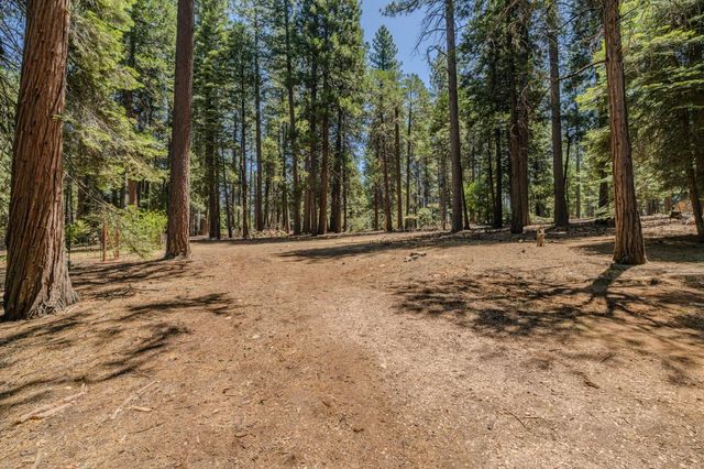 19775 Forest View Cir, Pioneer, CA 95666