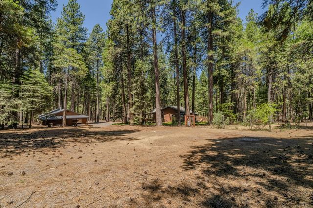 19775 Forest View Cir, Pioneer, CA 95666