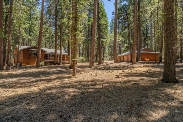 19775 Forest View Cir, Pioneer, CA 95666