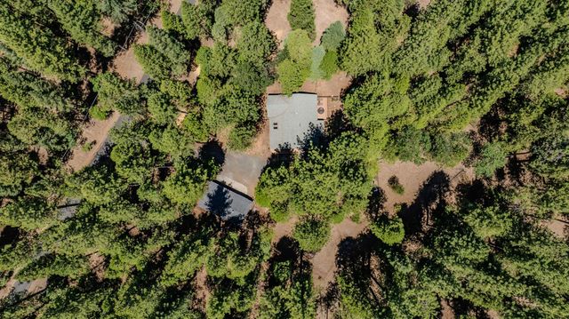 19775 Forest View Cir, Pioneer, CA 95666