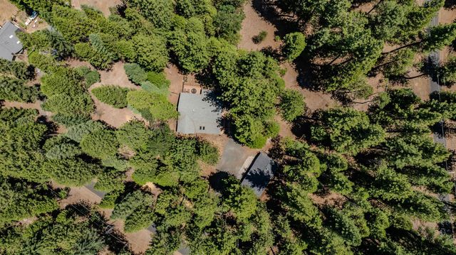 19775 Forest View Cir, Pioneer, CA 95666