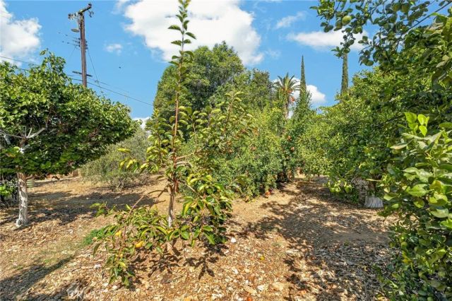 302 S San Mateo Street, Redlands, CA 92373