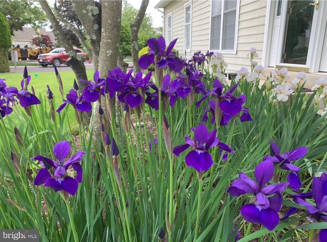 135 BIRKDALE DR, Blue Bell, PA 19422