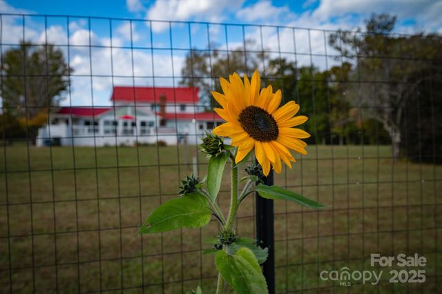 1260 Beaver Island Trail Road, Walnut Cove, NC 27052