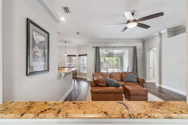 242 BLUE WATER STREET, Eustis, FL 32736
