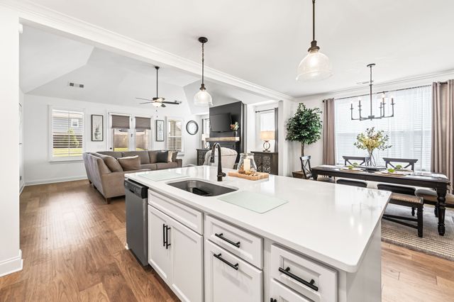 3015 Shandor St, Spring Hill, TN 37174