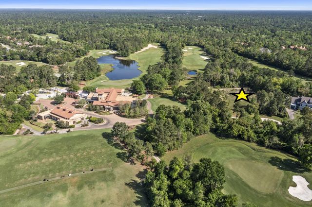 262 S Fazio Way, The Woodlands, TX 77389