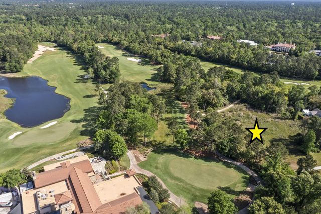 262 S Fazio Way, The Woodlands, TX 77389