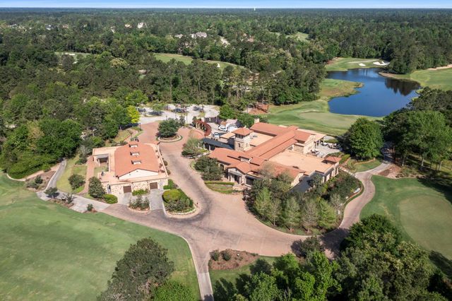 262 S Fazio Way, The Woodlands, TX 77389