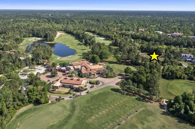 262 S Fazio Way, The Woodlands, TX 77389