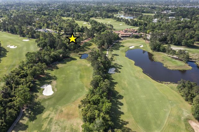262 S Fazio Way, The Woodlands, TX 77389
