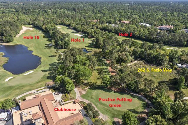262 S Fazio Way, The Woodlands, TX 77389