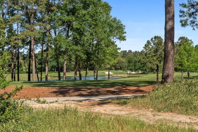 262 S Fazio Way, The Woodlands, TX 77389
