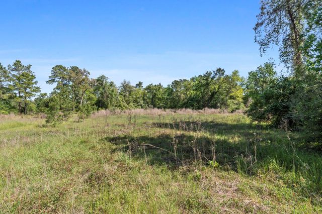 262 S Fazio Way, The Woodlands, TX 77389