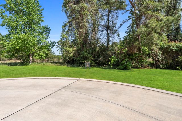 262 S Fazio Way, The Woodlands, TX 77389