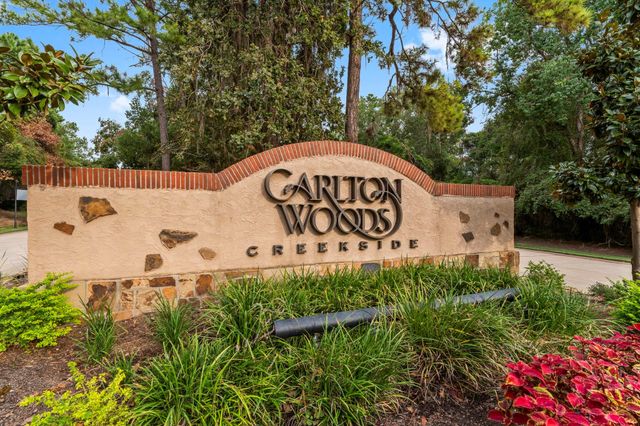 262 S Fazio Way, The Woodlands, TX 77389