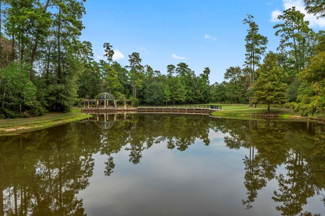 262 S Fazio Way, The Woodlands, TX 77389