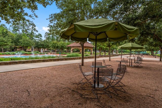 262 S Fazio Way, The Woodlands, TX 77389