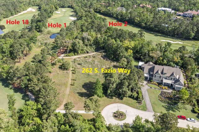 262 S Fazio Way, The Woodlands, TX 77389