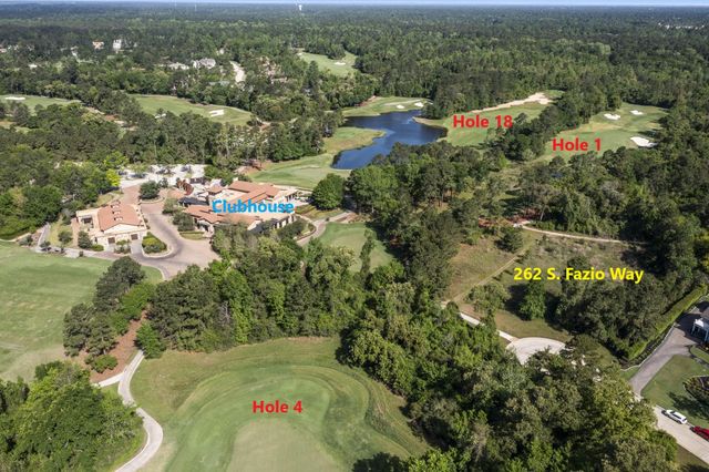 262 S Fazio Way, The Woodlands, TX 77389