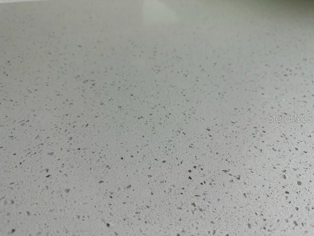 2020 13TH STREET S, St Petersburg, FL 33705