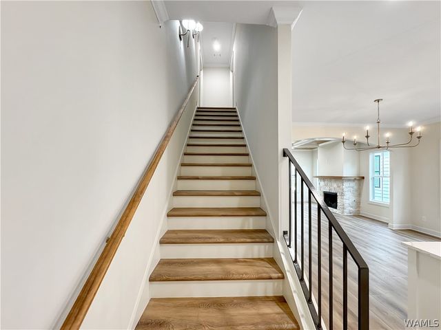 1615 Stillwater, Tuscaloosa, AL 35406