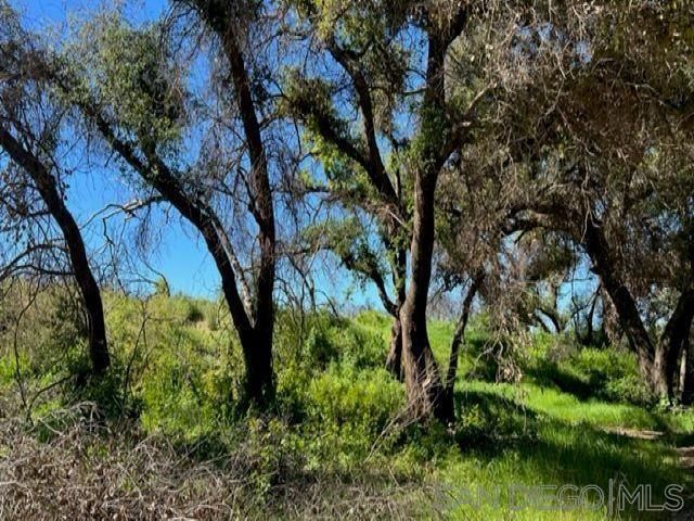 Bunny Dr., Jamul, CA 91935