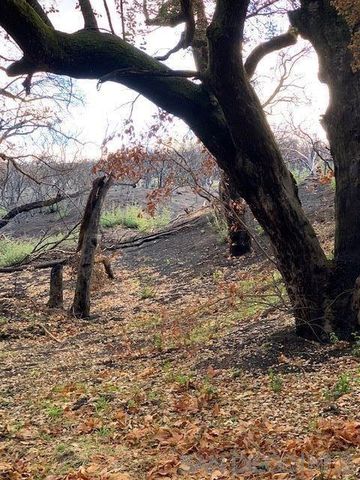 Bunny Dr., Jamul, CA 91935