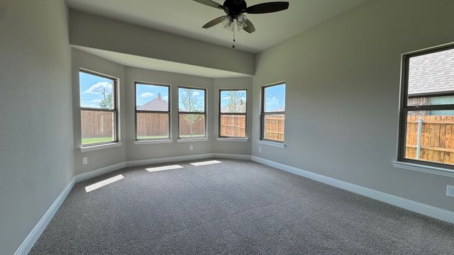 306 Mercer Drive, Josephine, TX 75173