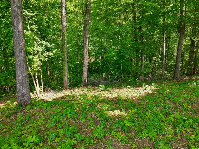 0 Casparis Road, Franklin, TN 37064