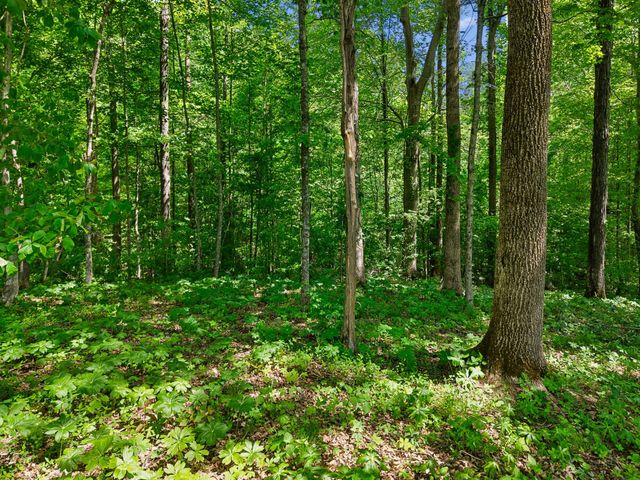 0 Casparis Road, Franklin, TN 37064