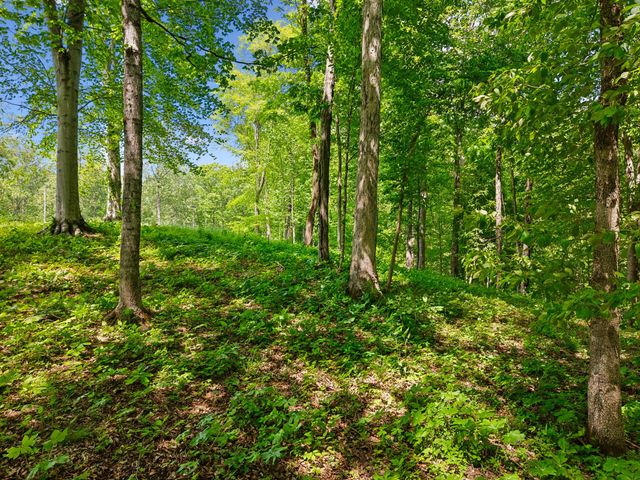 0 Casparis Road, Franklin, TN 37064