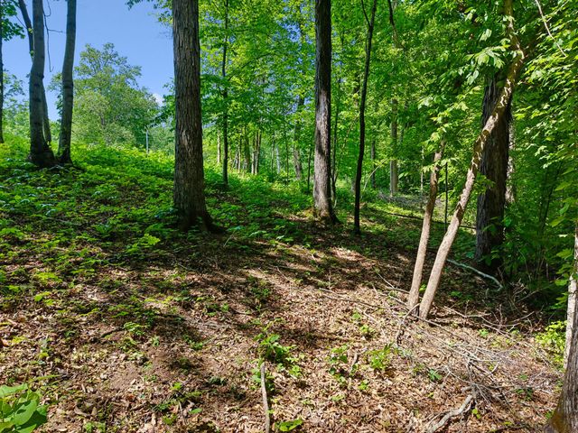 0 Casparis Road, Franklin, TN 37064