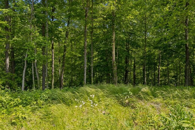 0 Casparis Road, Franklin, TN 37064