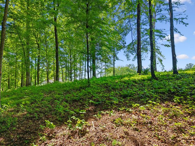 0 Casparis Road, Franklin, TN 37064