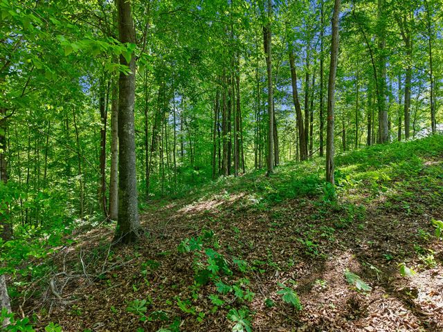 0 Casparis Road, Franklin, TN 37064