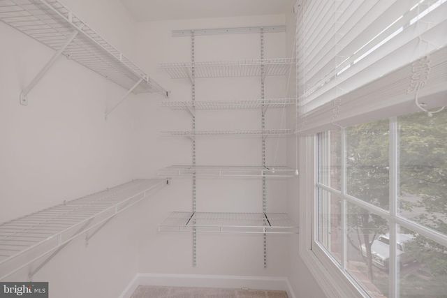 5180 BRAWNER PL, Alexandria, VA 22304