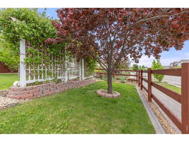 1531 New Season Dr, Windsor, CO 80550
