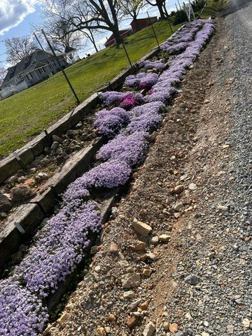 4298 Shady Grove Road, Cabool, MO 65689